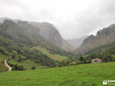 Corazón de Picos de Europa;los arrudos selva oza sierras subbeticas sendero rio borosa sinonimo de 